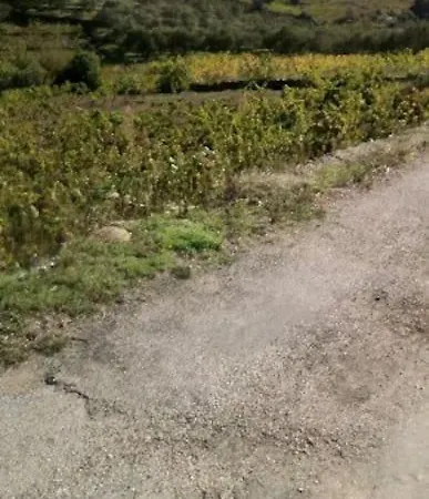 50 M De La Arrivee Et Depart Autonome * Collioure