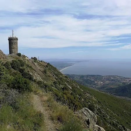 50 M De La Arrivee Et Depart Autonome Appartamento *