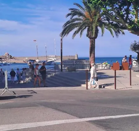50 M De La Arrivee Et Depart Autonome Collioure