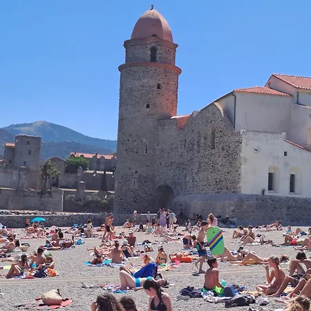 50 M De La Arrivee Et Depart Autonome Collioure